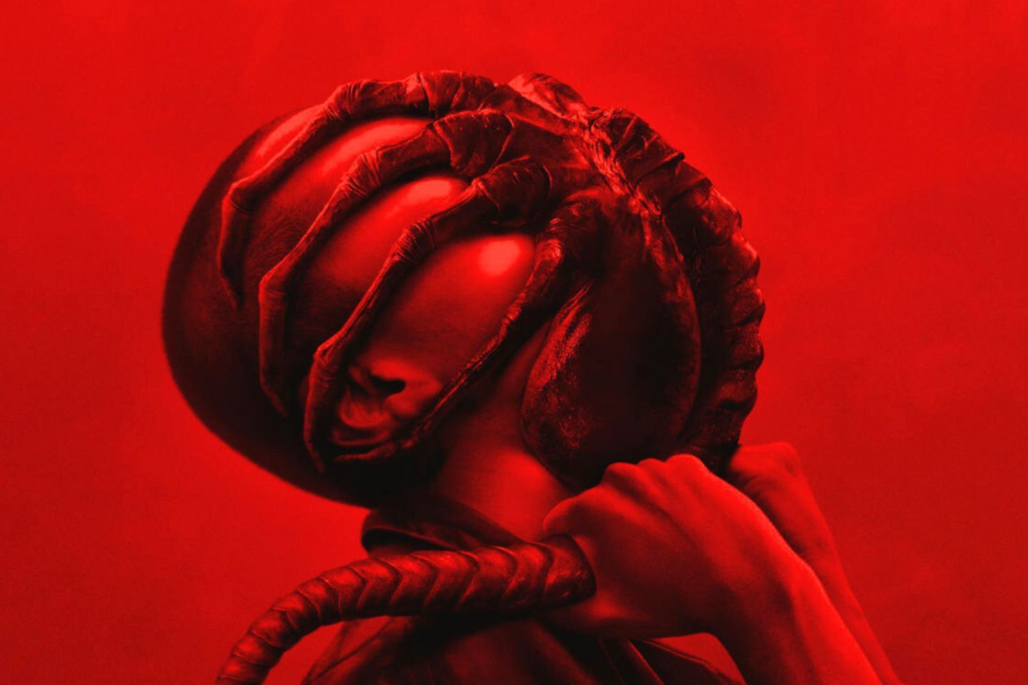 Alien : Romulus arrive sur Disney+ : c'est quoi cette théorie fumeuse confirmée par le réalisateur ?