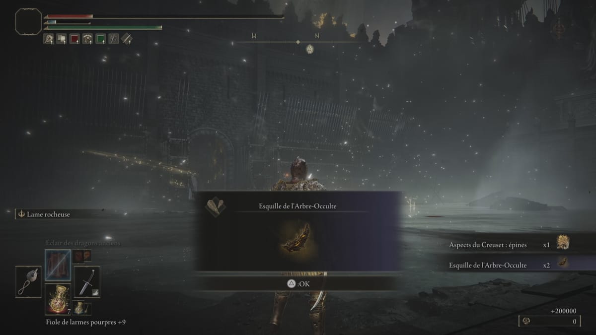 Hippopotame doré Elden Ring DLC : Comment éliminer ce boss du château noir dans Shadow of the Erdtree ? - Soluce complète de Elden Ring et du DLC Shadow of the Erdtree - jeuxvideo.com
