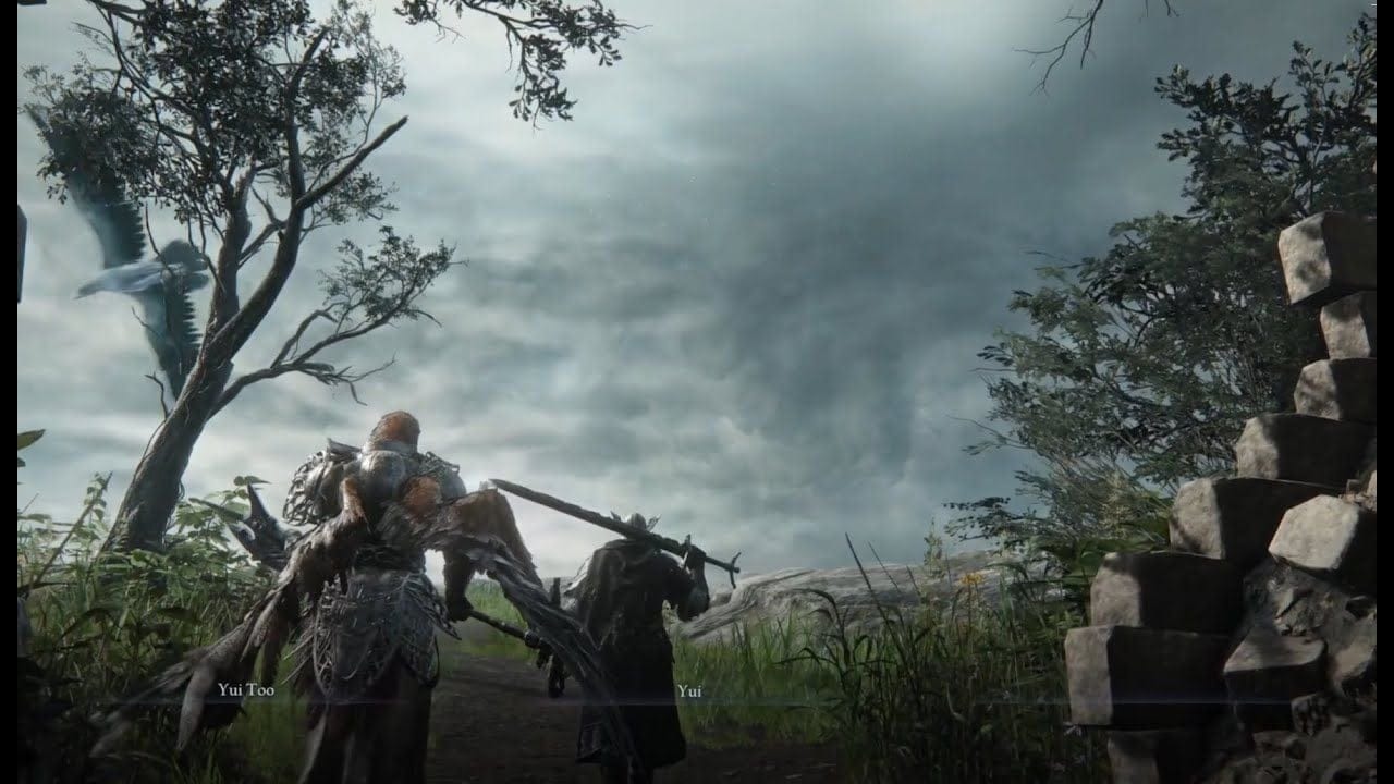 Elden Ring Nightreign se met à jour pour faciliter les runs en solo, tandis qu'un mod pour jouer en duo a été créé sur PC