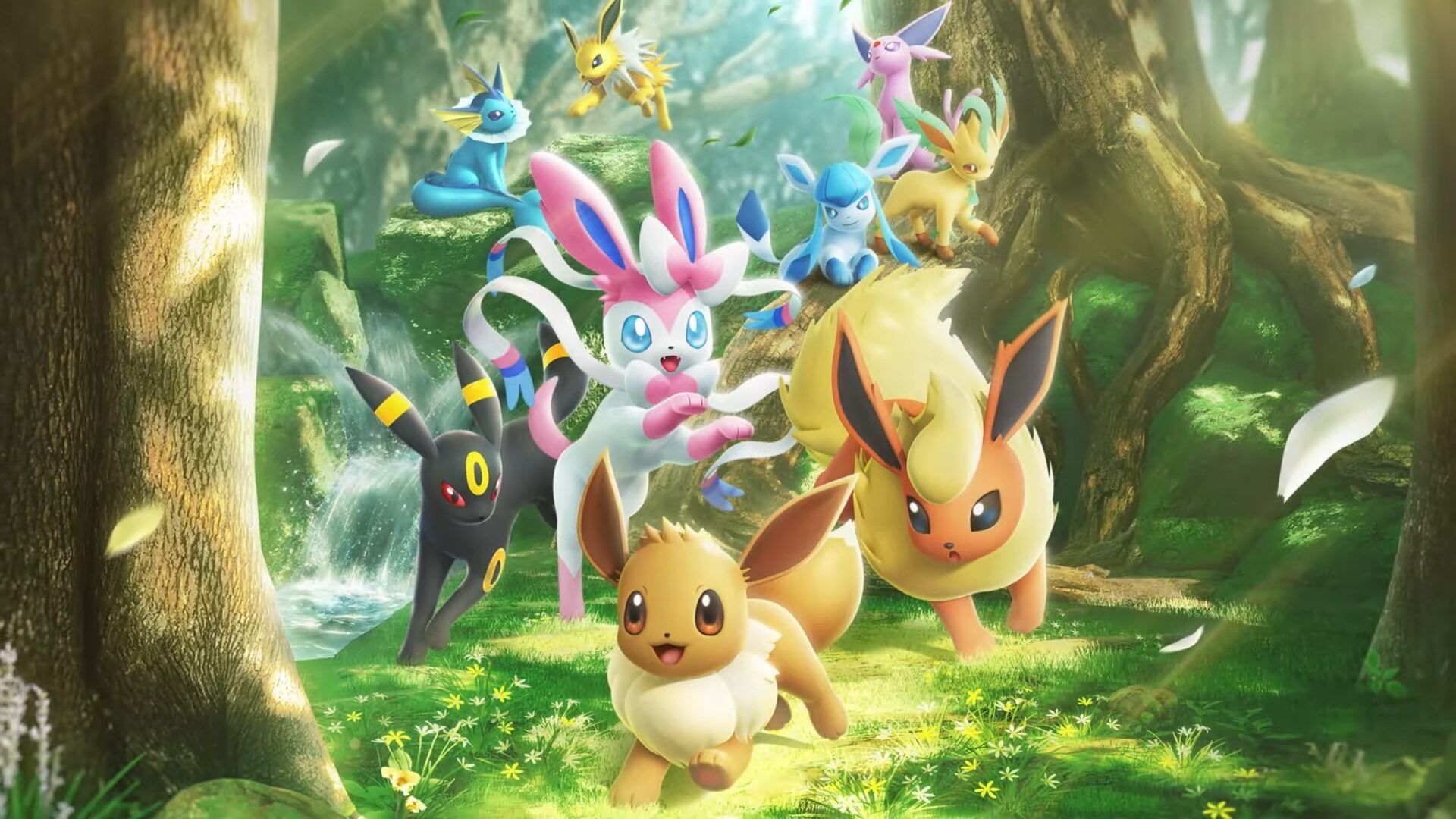 Pokémon TCG Pocket recevra son extension « La Clairière d’Évoli » le 26 juin - IG News