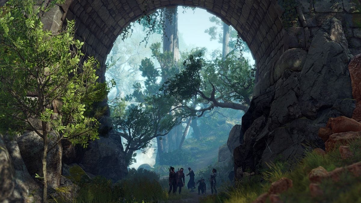 "Gratuits ou payants, ils doivent être bons", d'après les créateurs de Baldur's Gate 3, l'industrie du jeu vidéo ne comprend pas les joueurs