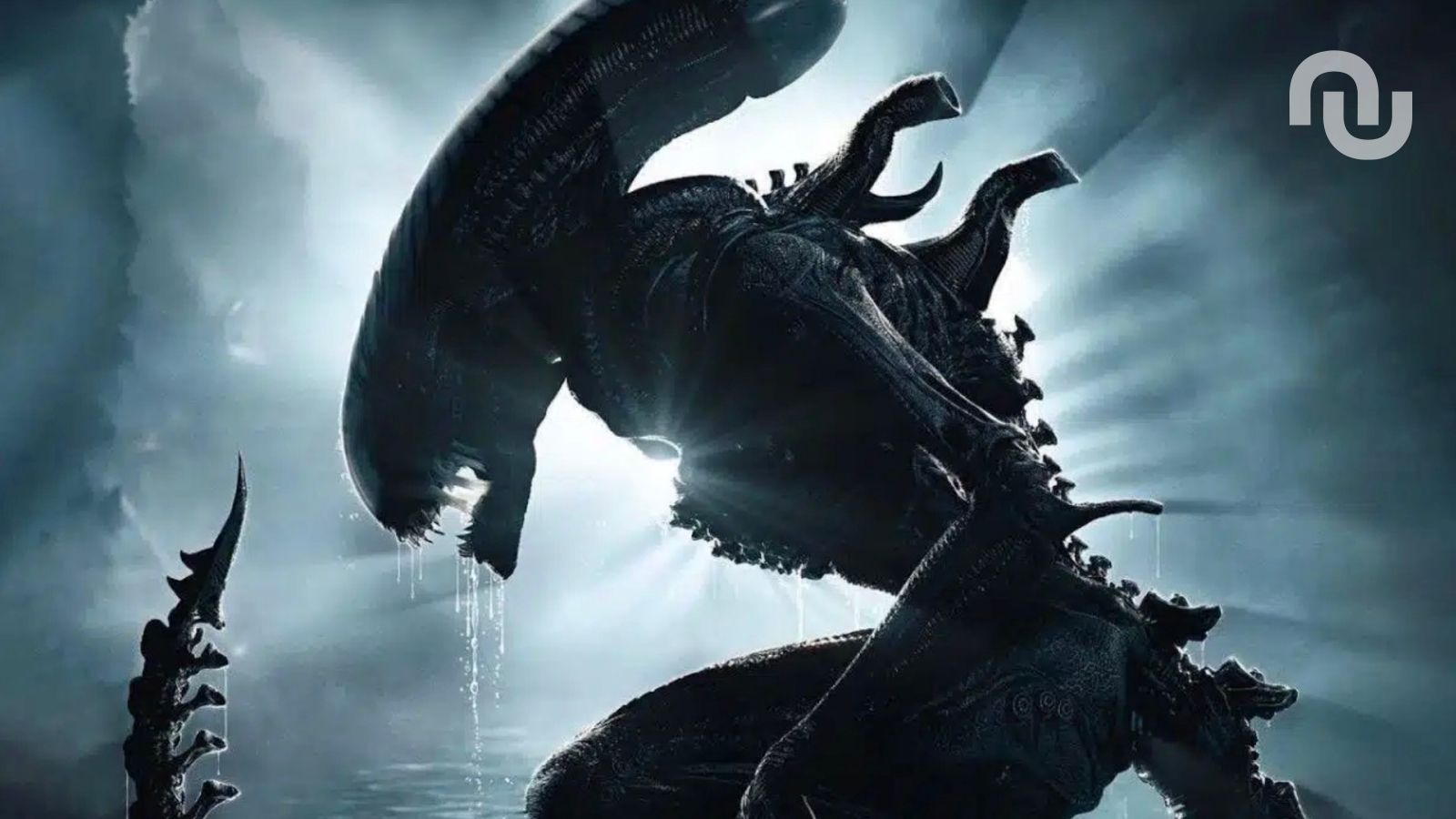 Quand sort Alien : Earth, la série SF de l’année, sur Disney+ ?