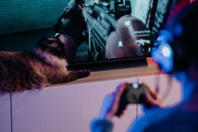 Pourquoi les cartes-cadeaux pour les jeux vidéo sont-elles si populaires ?