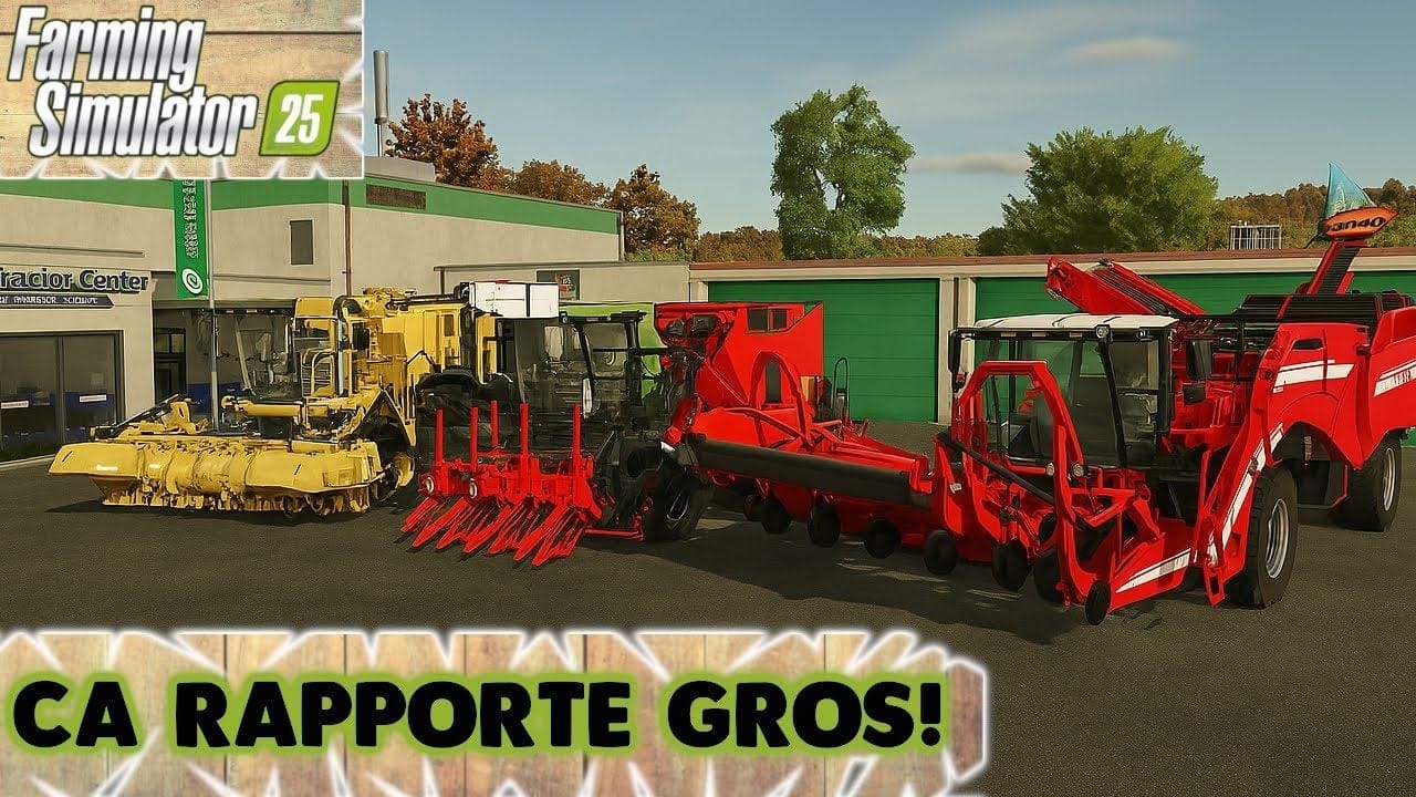 FS25 : Top 5 Céréales QUI RAPPORTENT GROS (Rentabilité MAX) beaucoup d'argent !