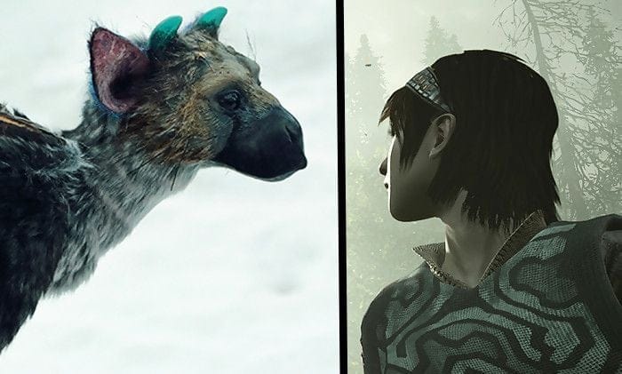 Shadow of the Colossus : il y a un Easter Egg "The Last Guardian" et voici l'astuce pour le trouver