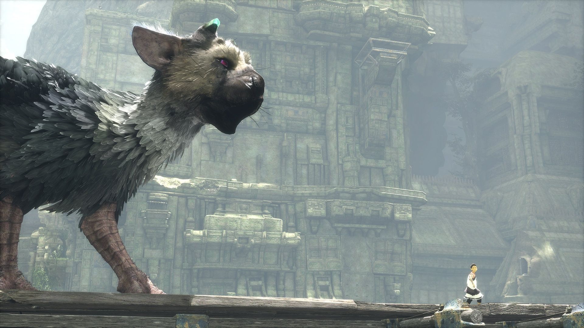 Un film The Last Guardian serait en préparation chez Sony - IG News