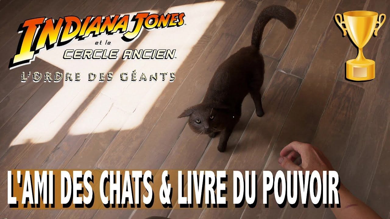 L'AMI DES CHATS / Livre d'AVENTURE 2/2 - L'ORDRE DES GÉANTS INDIANA JONES ET LE CERCLE ANCIEN