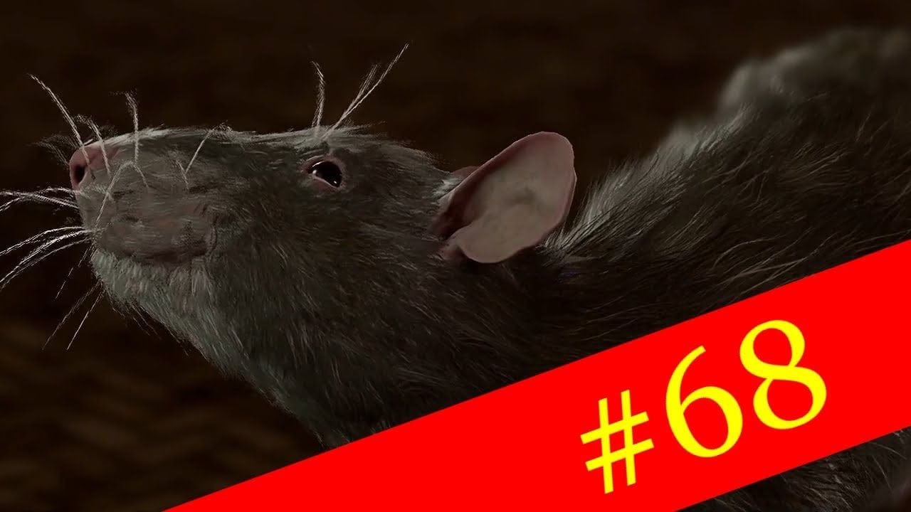 Baldur's gate 3 - Demi-poing #68 - Le rat mangeur d'homme