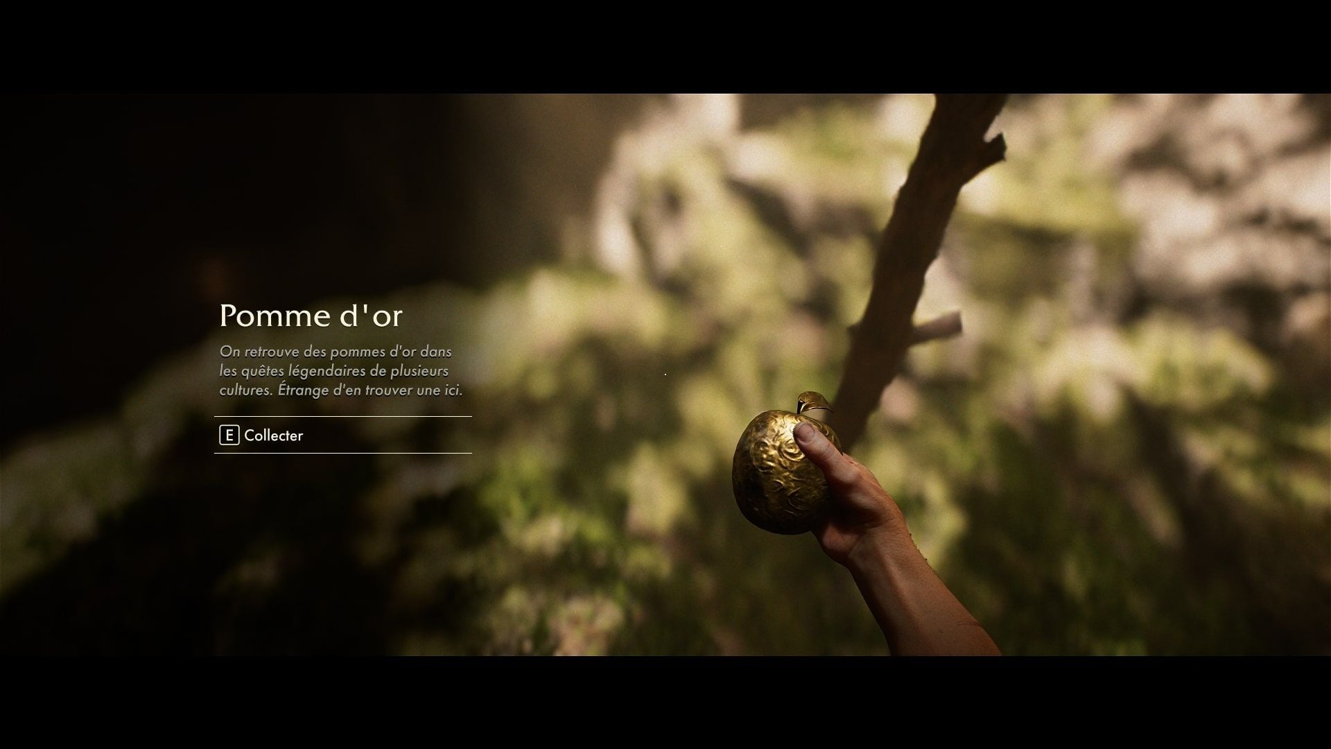 Où trouver une Pomme d’or à Rome ? - Indiana Jones et le Cercle Ancien