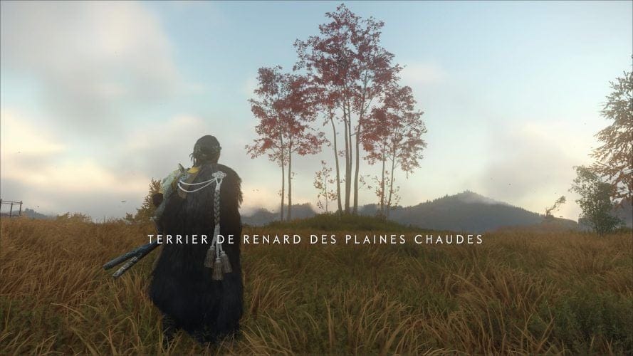 Tous les terriers de renard | Guide Ghost of Yōtei