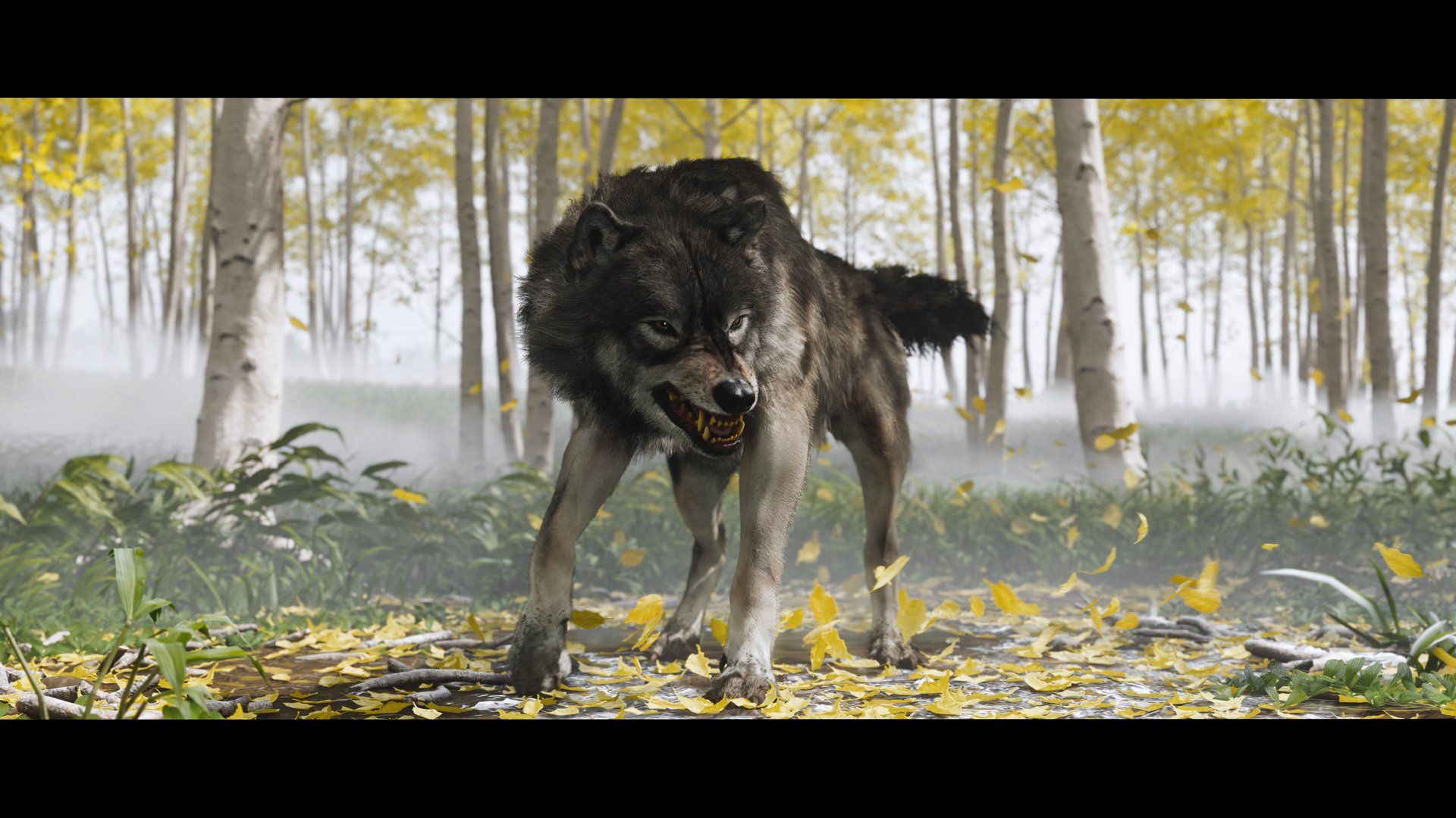 Toutes les tanières de loups | Guide Ghost of Yōtei