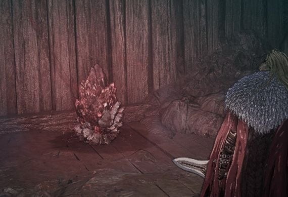 Les âmelithes de la nuit de la tragédie