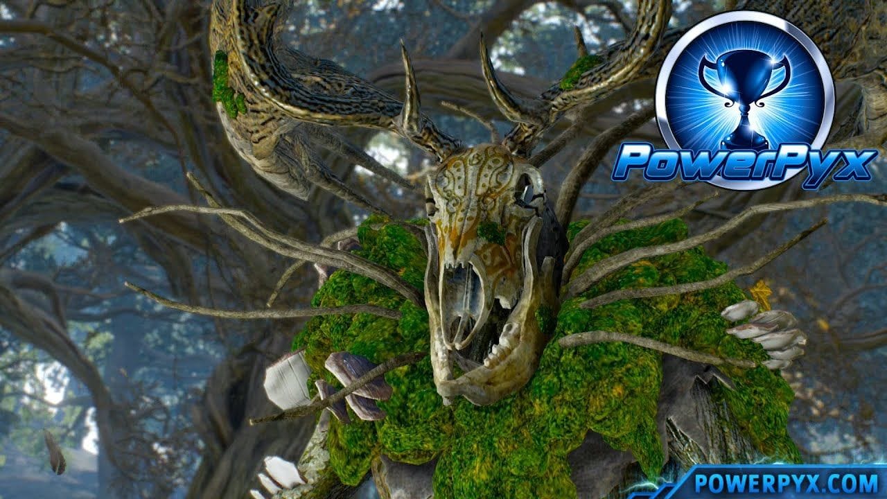 The Witcher 3 Wild Hunt - Woodland Spirit Trophy / Achievement Guide (In the Heart of the Woods)