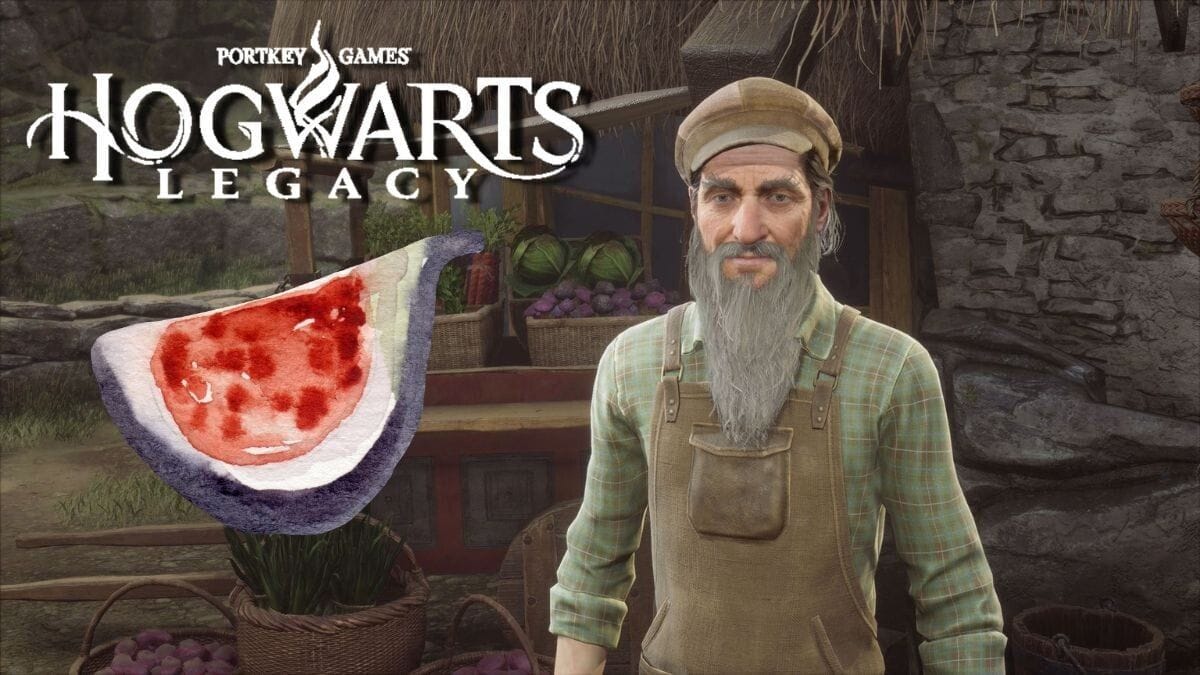 Fruit de figuier d'abyssinie Hogwarts Legacy : Comment obtenir de la figue sèche pour le devoir de Sharp ?
