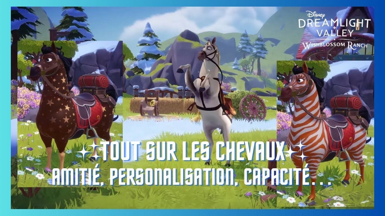 TOUT SUR LES CHEVAUX : L’AMITIÉ, LA PERSONALISATION, LES CAPACITÉS… ✨🐴🐎