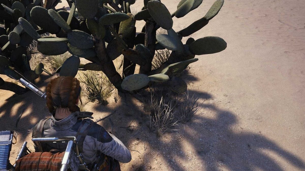 Où trouver les figues de Barbarie dans ARC Raiders ?