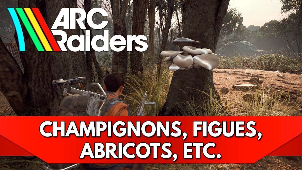 Arc Raiders FR : Champignons, Figues de Barbarie, Citrons, Abricots & Olives