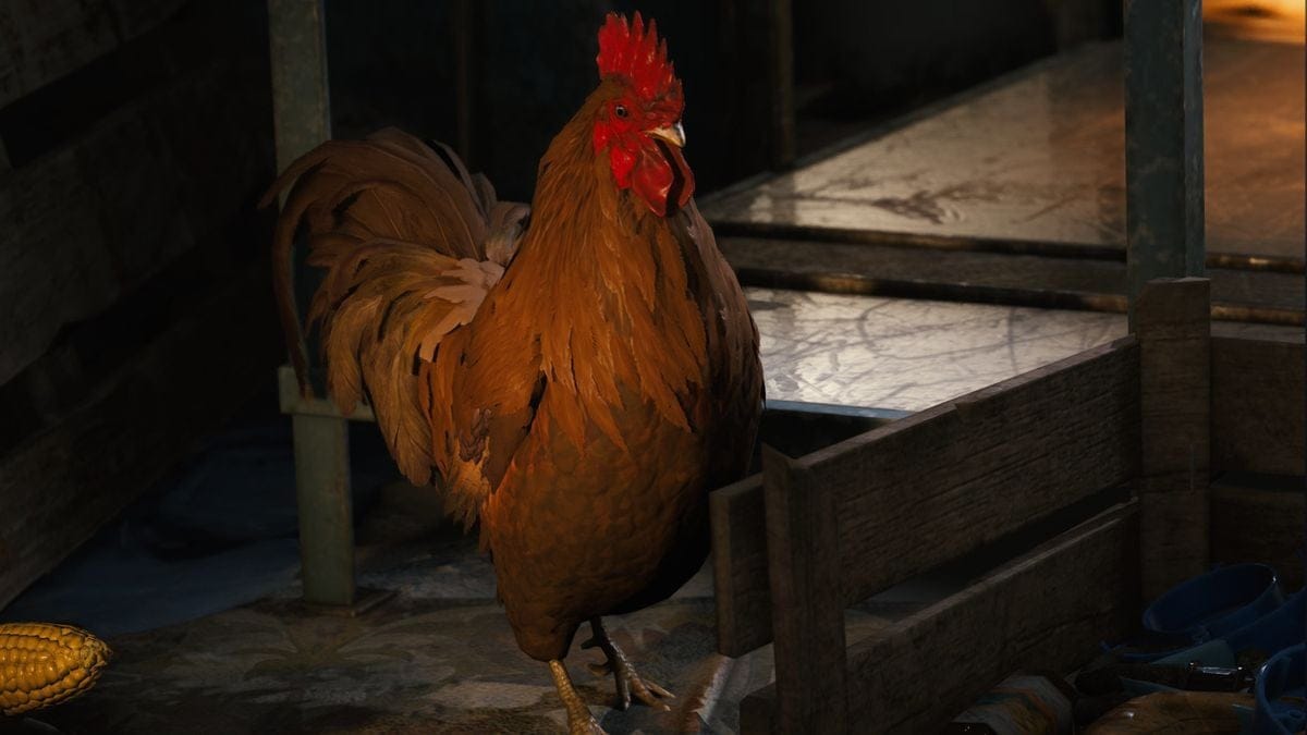 Lit pour chat Arc Raiders : Où trouver cet objet pour améliorer le Coq ?