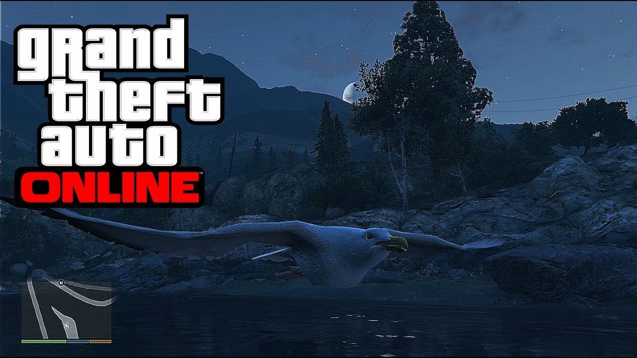 [PS4/Xbox One] COMMENT SE TRANFORMER EN OISEAU - EASTER EGG - GTA 5 ONLINE (peyotl 1)