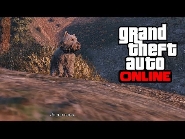 [PS4/Xbox One] SE TRANSFORMER EN CHIEN - GTA 5 ONLINE (Peyotl 4)