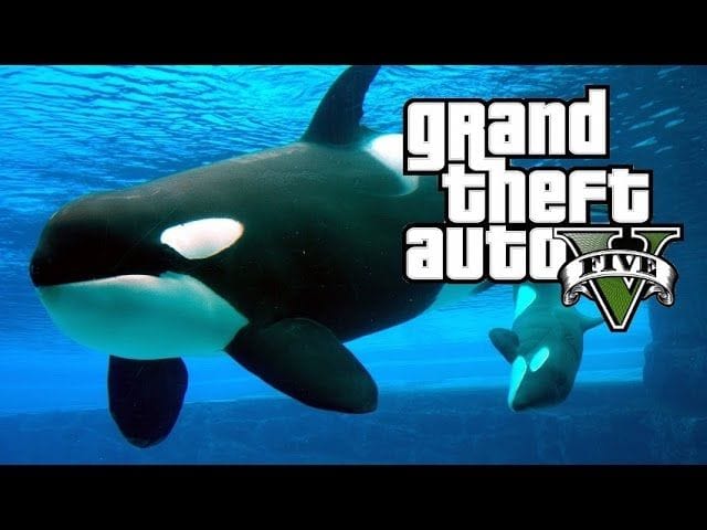 SE TRANSFORMER EN ORQUE ET AUTRES (Peyotl 18, 19, 20 et 21) GTA 5 NEXT GEN