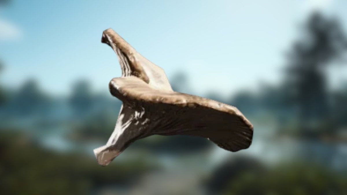 Champignons ARC Raiders : où trouver cette ressource naturelle pour Coquillard, votre coq ?