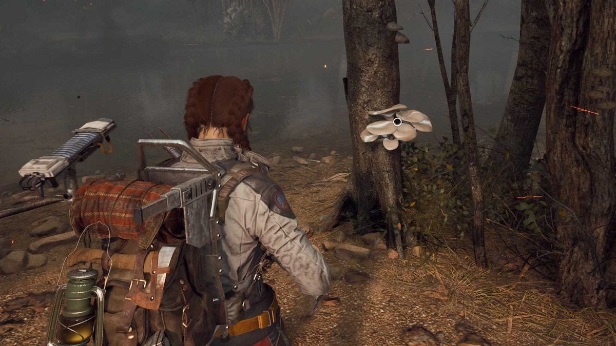 Où trouver des champignons dans ARC Raiders ?