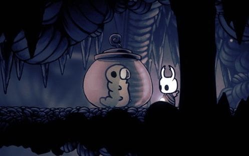 Guide des larves 31 à 40