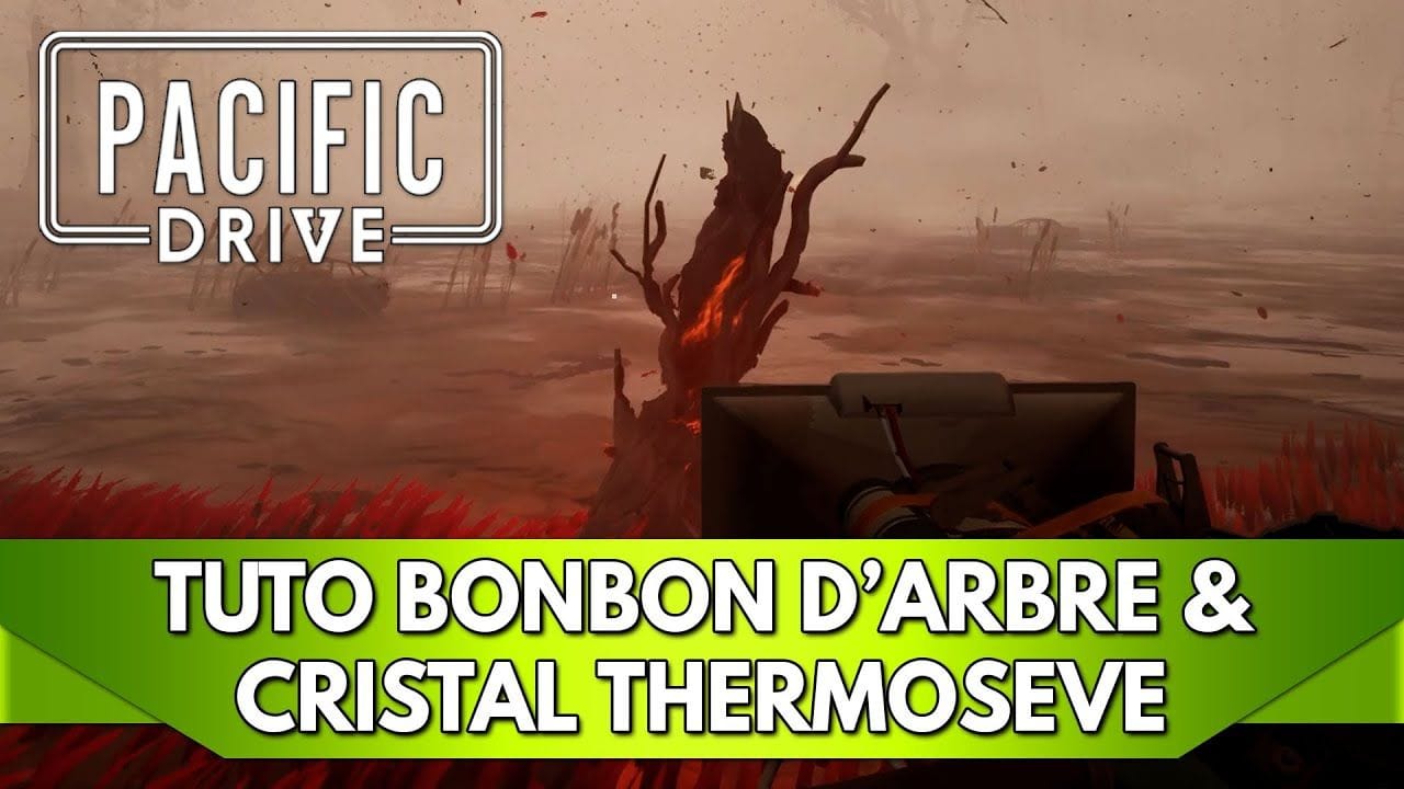 Pacific Drive Tuto FR : Bonbon d'Arbre / Cristal Thermosève, où en trouver ?