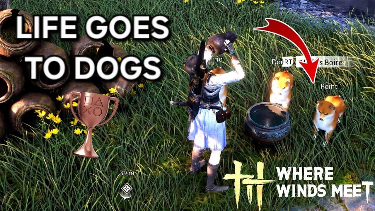 TROPHÉE Life Goes to Dogs  – WHERE WINDS MEET (4K PC)