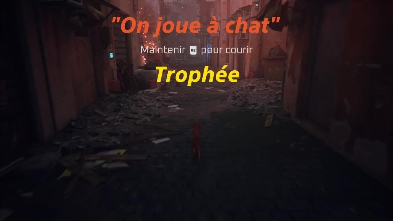 Succès "On joue à chat" Stray