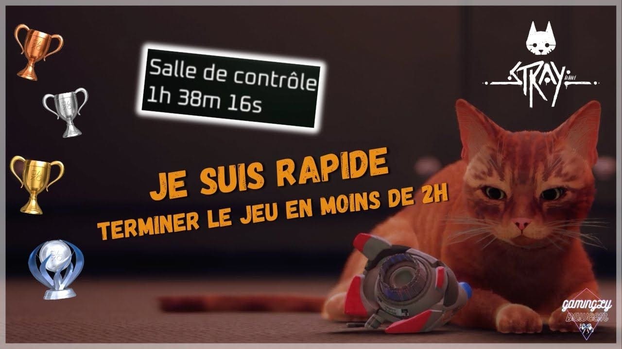 STRAY 🐱 | Terminer le jeu en moins de 2h ? (Trophée "Je Suis Rapide") 🏆