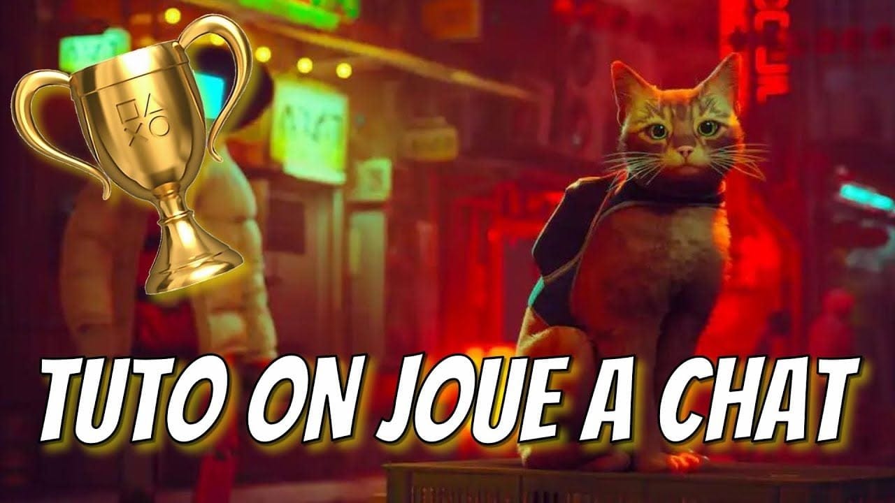 Stray - Tuto Trophée On Joue à Chat