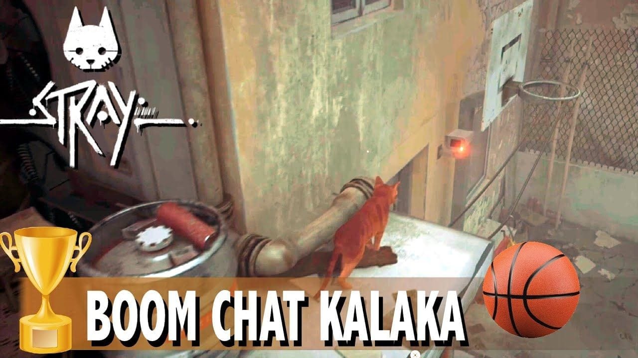 BOOM CHAT KALAKA - FAIRE UN DUNK DANS LE PANIER TROPHÉE / SUCCÈS - STRAY