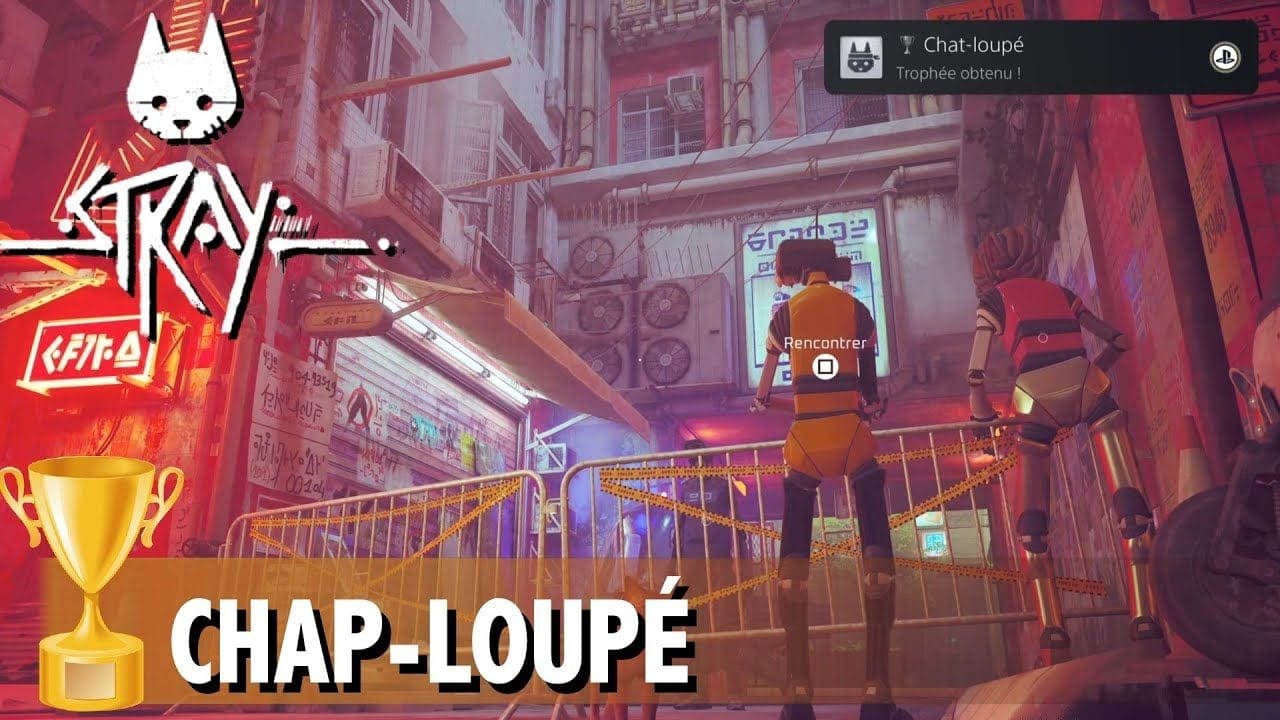 CHAT-LOUPÉ - FRANCHIR LE CENTRE VILLE SANS SE FAIRE DÉTECTER  TROPHÉE / SUCCÈS - STRAY