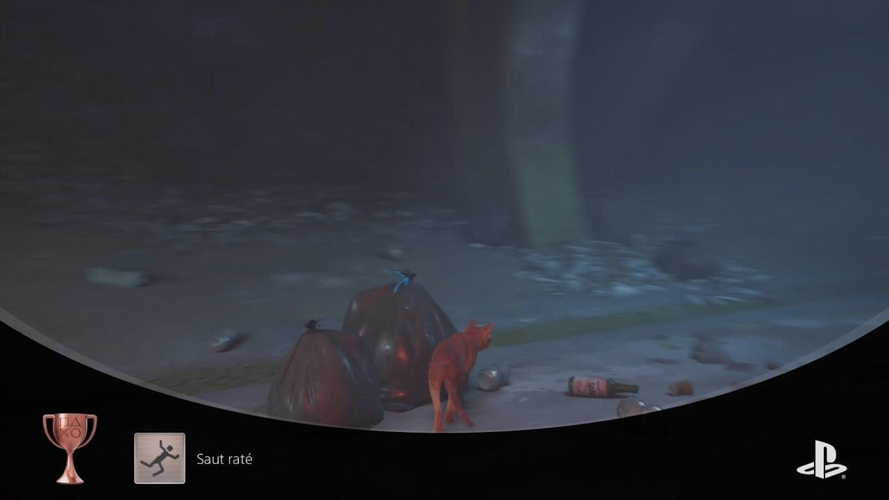 Stray Trophée Saut raté