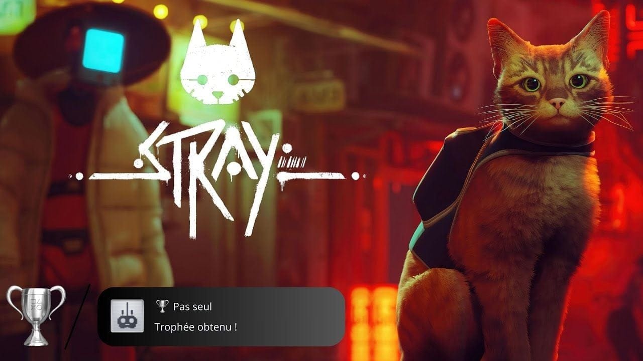 Trophée Stray - Pas seul [20/25]