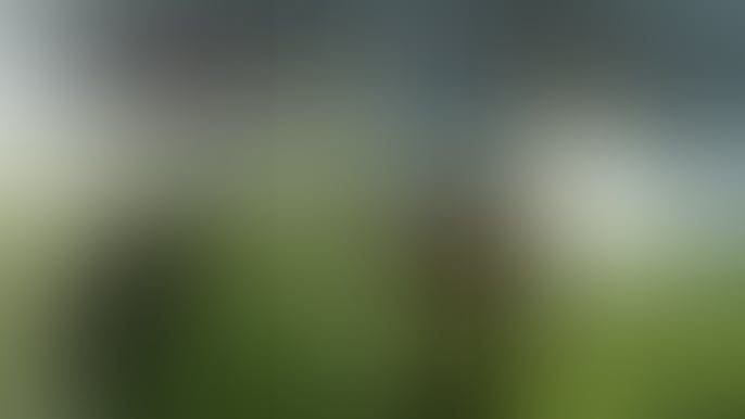 What is everyones opinion on Ghost of Yotei compared to Ghost of Tsushima - NO spoilers