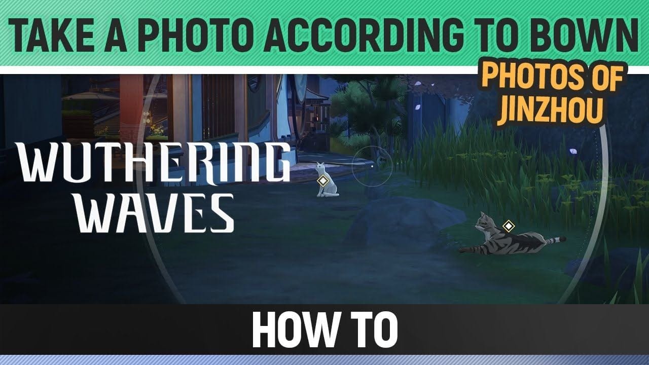 Wuthering Waves - Take a photo according to Bown - Photos of Jinzhou