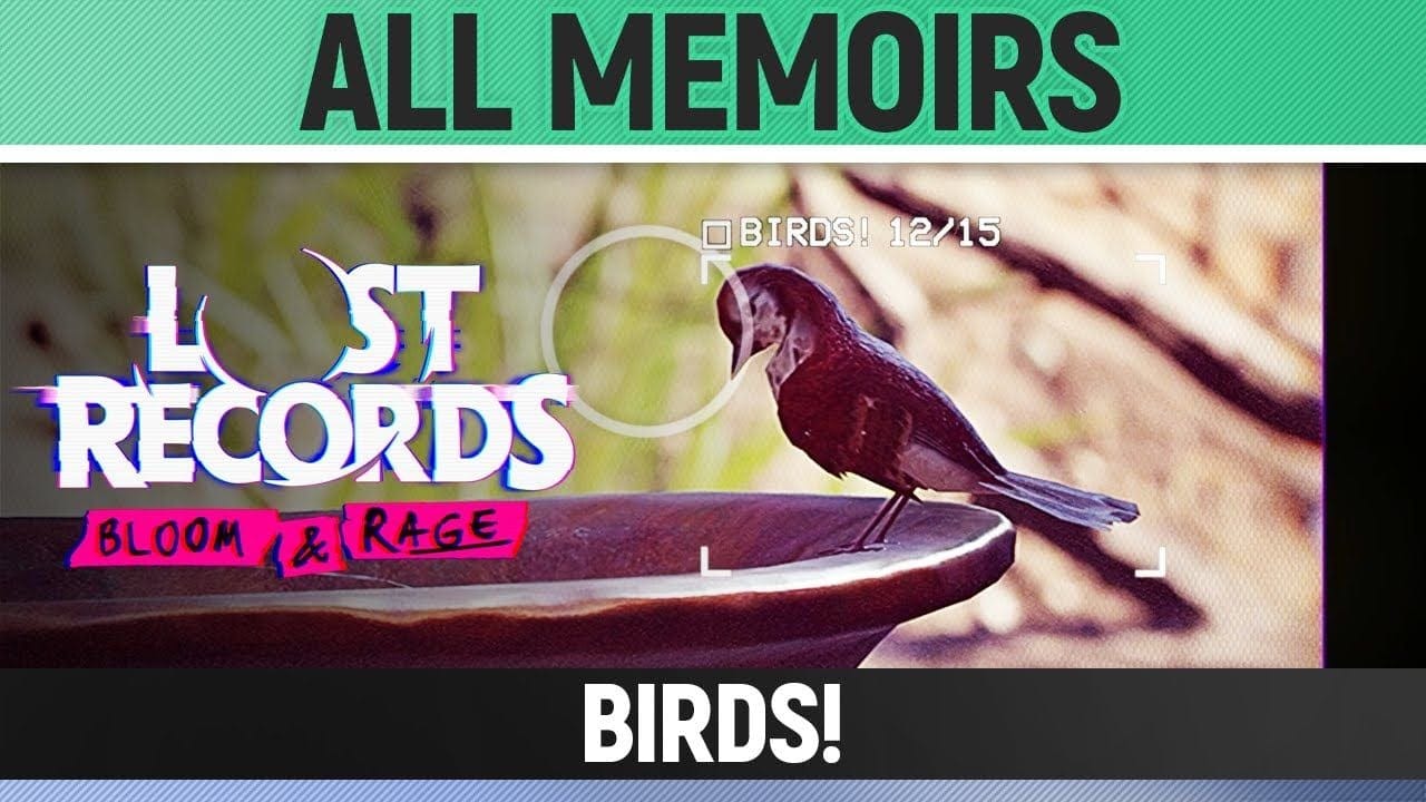 Lost Records: Bloom & Rage - Birds! - All 15 Memoirs