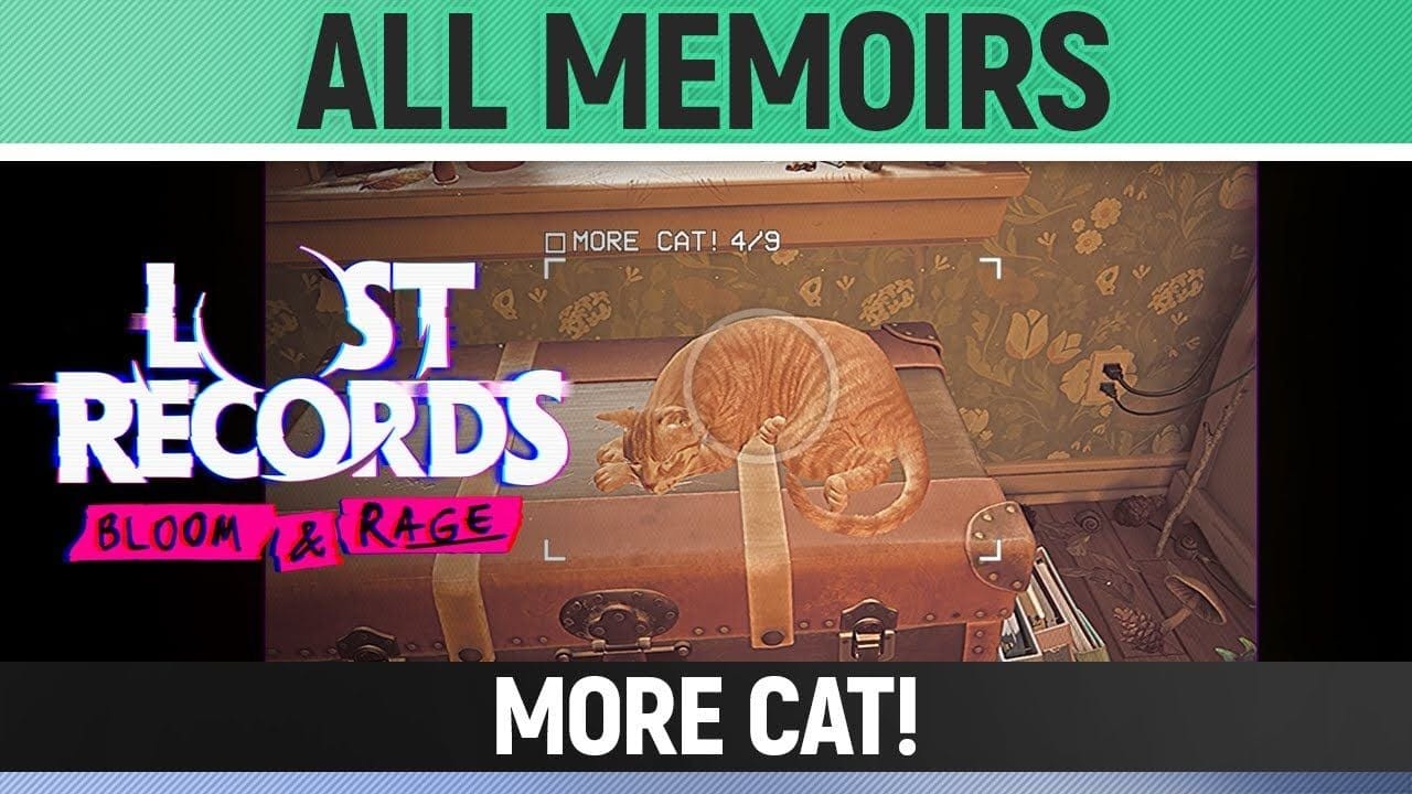 Lost Records: Bloom & Rage - More Cat! - All 9 Memoirs