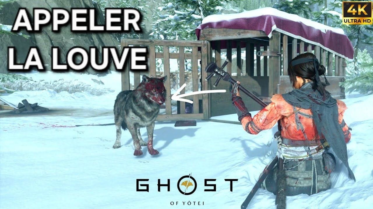 Comment DÉBLOQUER la LOUVE dans GHOST OF YOTEI (4K)