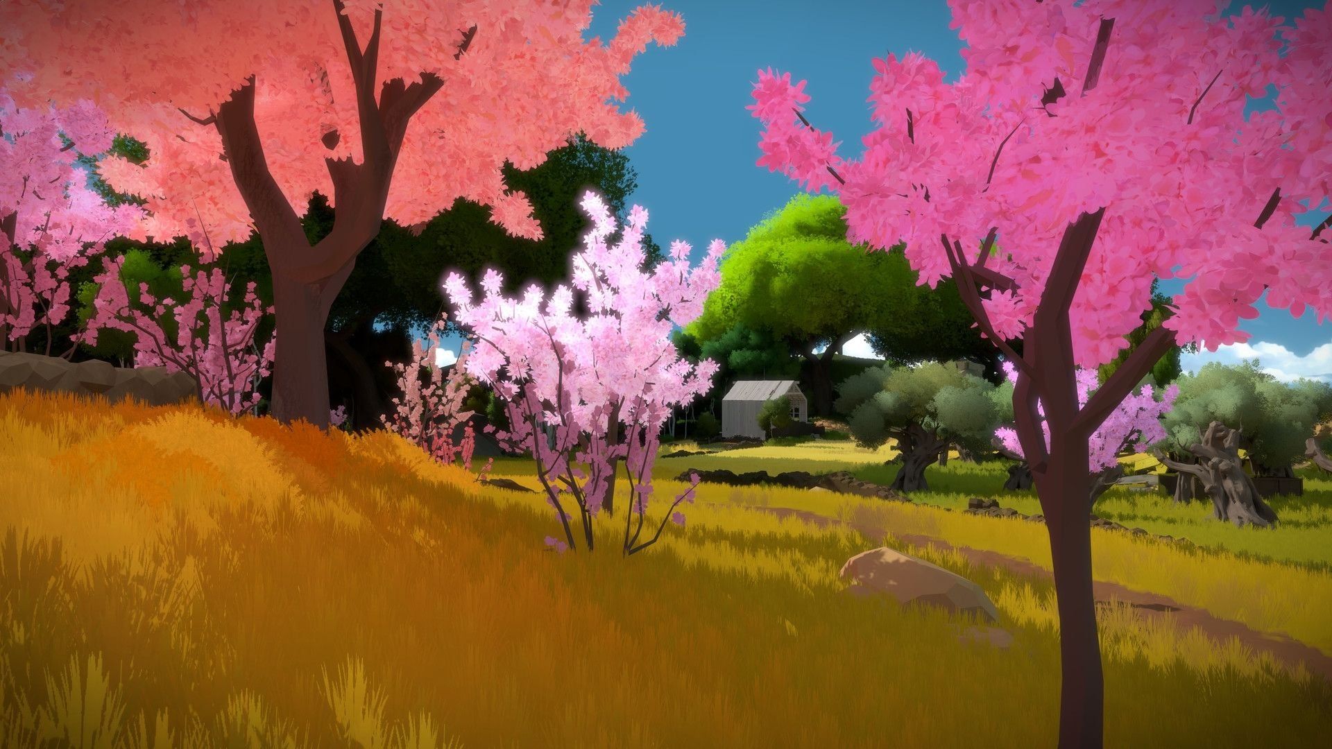Jonathan Blow (Braid, The Witness) annoncera un nouveau jeu aux Game Awards 2025 - IG News