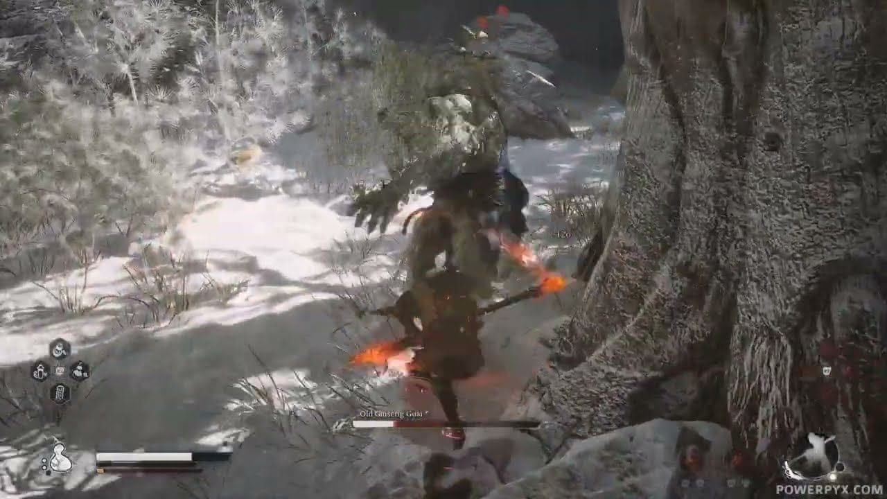 Black Myth Wukong - Old Ginseng Guai Boss Fight & Location