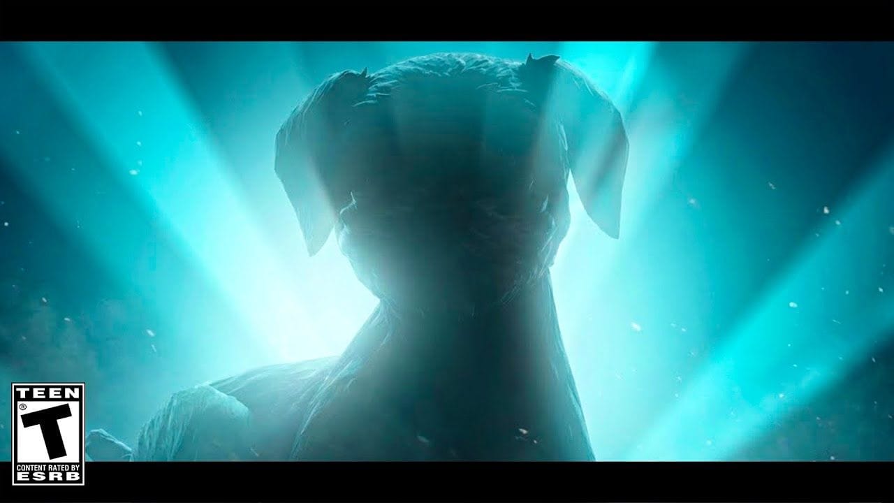 FORTNITE ICON SKIN (Official Announcement)