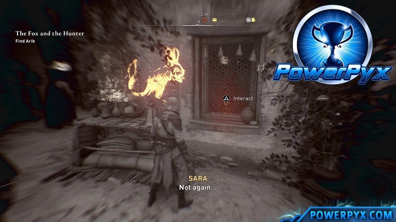 Assassin's Creed Mirage - How to Follow the Mouse Symbols & Find Arib - The Fox and the Hunter