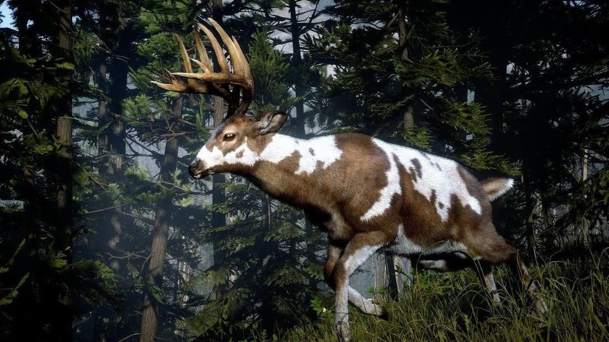 Cerf légendaire Red Dead Redemption 2 : Position, ressources, artisanat... Où trouver cet animal légendaire ?  - Soluce Red Dead Redemption 2, guide complet - jeuxvideo.com