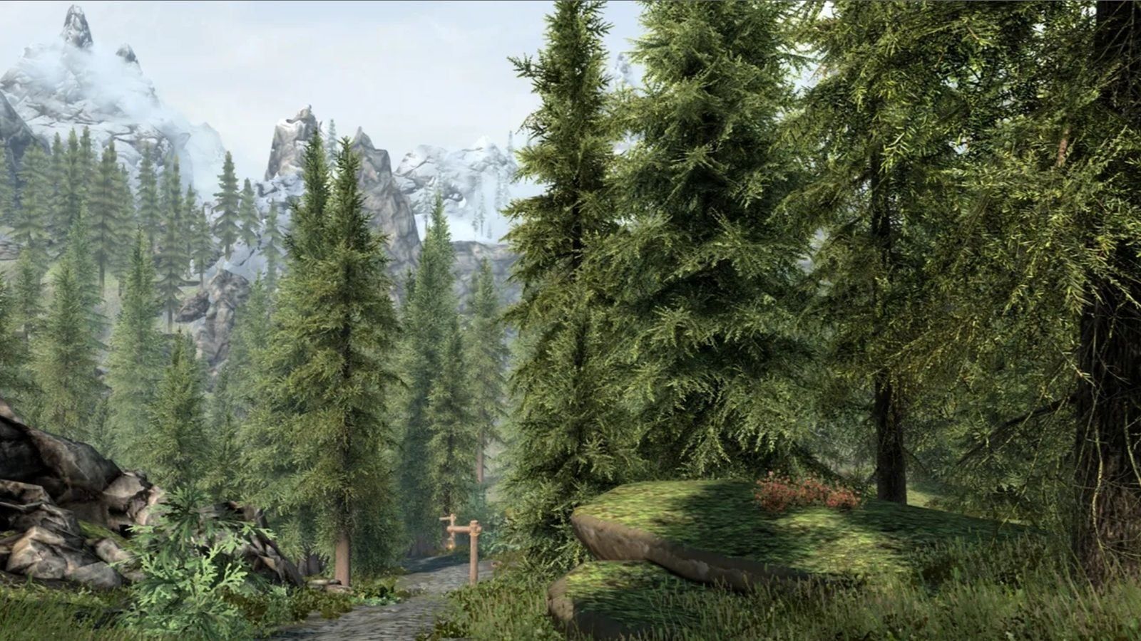 The Elder Scrolls VI aura plus d'arbres que Skyrim - IG News