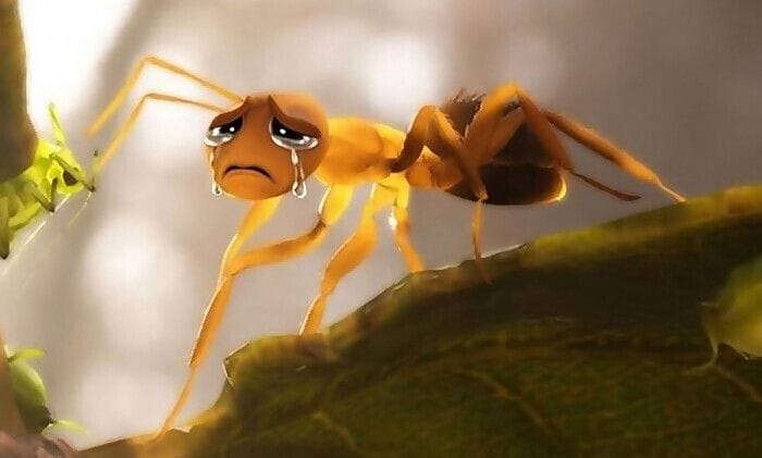 Malgré la réussite du jeu Les Fourmis, le studio Tower Five a quand mis les clefs sous la porte