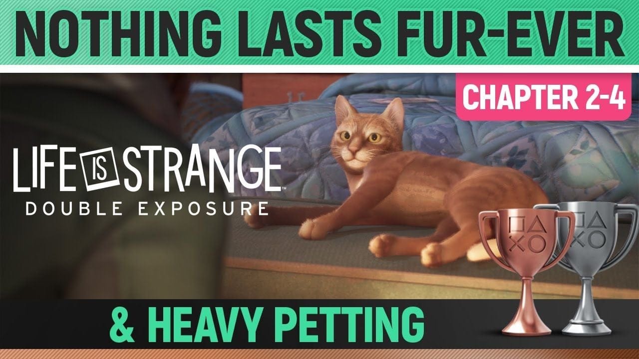 Life is Strange: Double Exposure - Heavy Petting & Nothing Lasts Fur-Ever 🏆 Trophy Guide Cat Content
